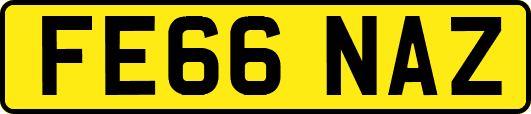 FE66NAZ