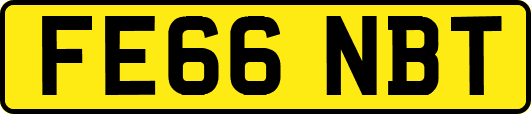 FE66NBT