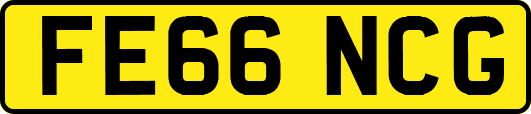 FE66NCG
