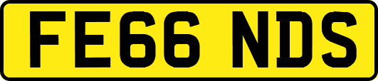 FE66NDS