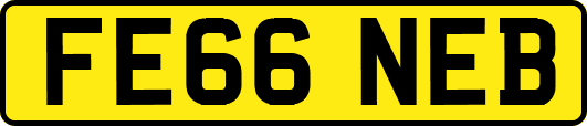 FE66NEB