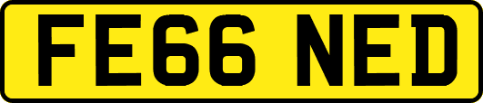 FE66NED