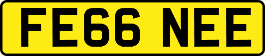 FE66NEE