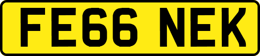 FE66NEK