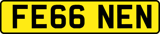 FE66NEN