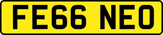 FE66NEO