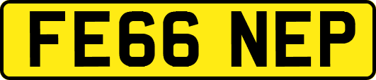 FE66NEP