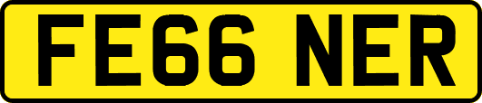 FE66NER