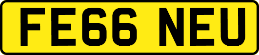 FE66NEU