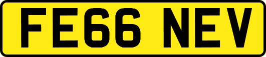 FE66NEV