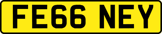 FE66NEY