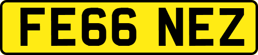 FE66NEZ