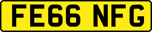 FE66NFG