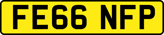 FE66NFP