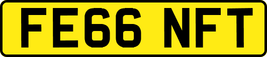 FE66NFT