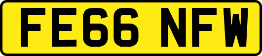 FE66NFW