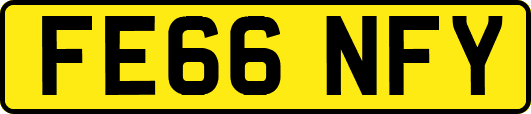 FE66NFY