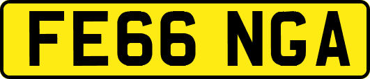 FE66NGA
