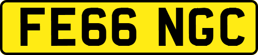 FE66NGC