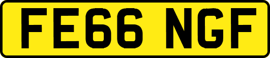 FE66NGF
