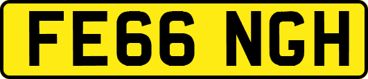 FE66NGH
