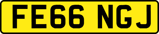 FE66NGJ
