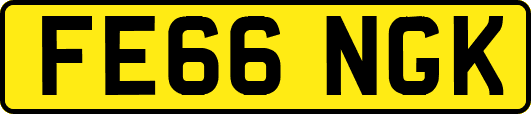 FE66NGK