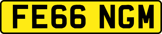 FE66NGM