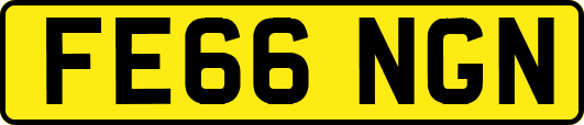 FE66NGN