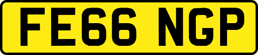 FE66NGP