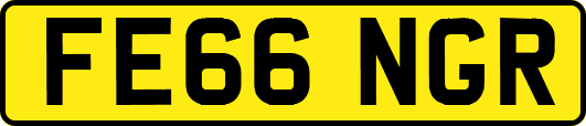 FE66NGR