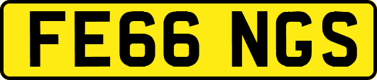 FE66NGS