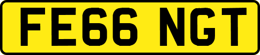 FE66NGT