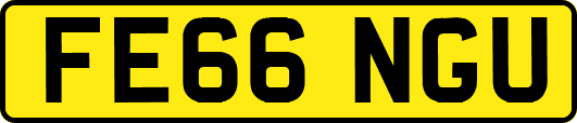 FE66NGU