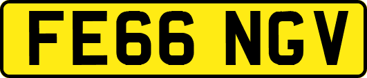 FE66NGV