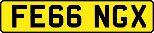 FE66NGX