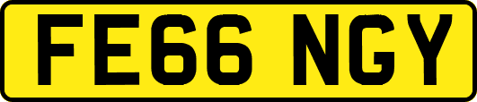 FE66NGY