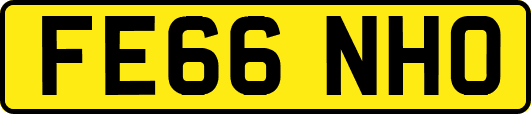 FE66NHO