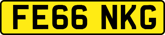 FE66NKG