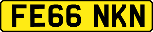 FE66NKN