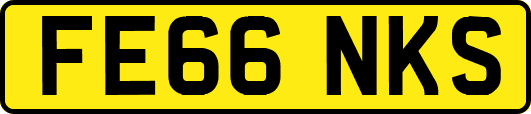 FE66NKS