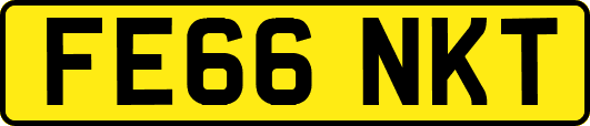 FE66NKT