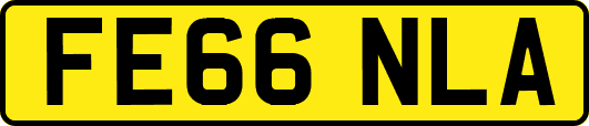 FE66NLA