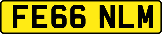 FE66NLM
