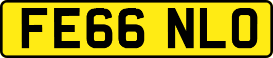FE66NLO