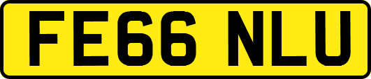 FE66NLU