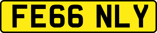 FE66NLY