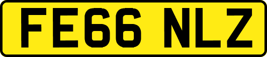 FE66NLZ