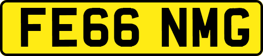 FE66NMG