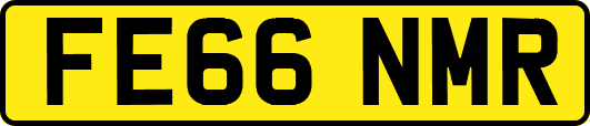 FE66NMR